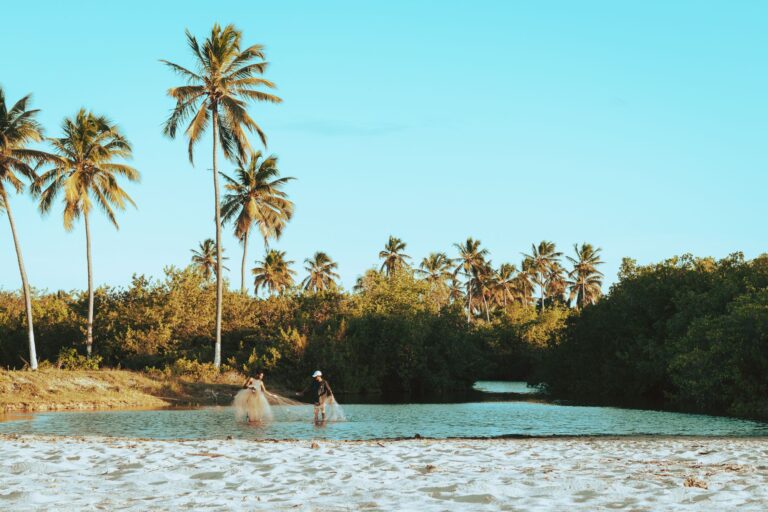Two people fishing near coconut palm trees on a tropical beach in João Pessoa, Brazil.