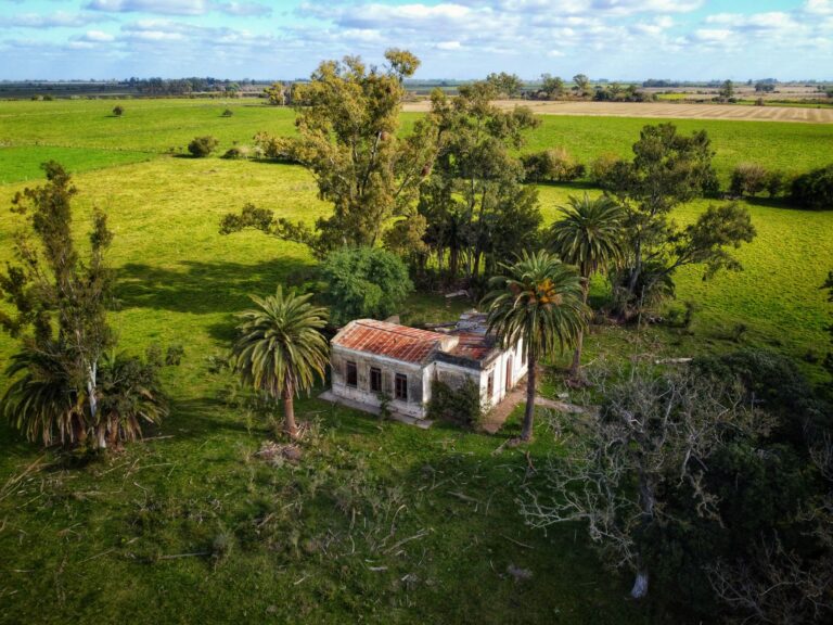 Drone captures an old abandoned house surrounded by lush greenery in Entre Ríos, Argentina.